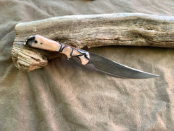 25-26 - Oyster Kirinite Short Fillet