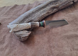 25-10 - Celtic Wolf Carved Deer Antler Natural Micarta with Two Black Lines and Green Buckeye Short Saex