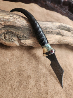 25-125 Springbok Horn