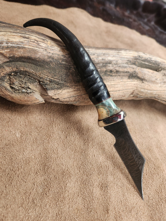 25-125 Springbok Horn