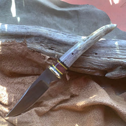 135-21 Elk Antler Tip Drop Point Utility