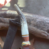 105-21 Elk Antler Tip Medium Bodice Dagger